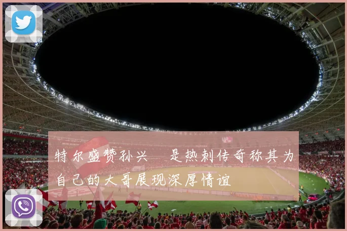 特尔盛赞孙兴慜是热刺传奇称其为自己的大哥展现深厚情谊